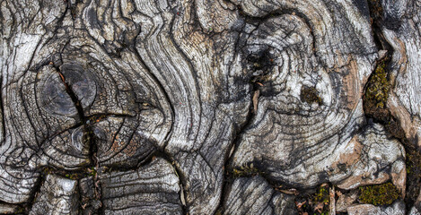 texture of old brown wood plank. background of wooden surface	
