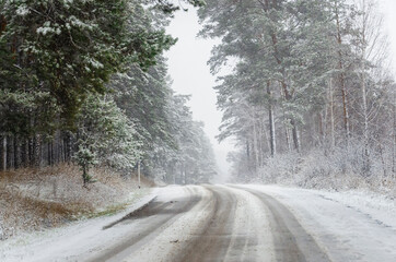 Obraz premium The snowy road in the forest
