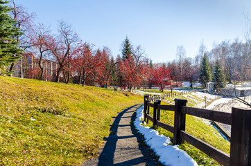 The autumn walking park landscape