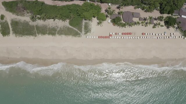 Vue de drone de droite &agrave; gauche de l'oc&eacute;an, mar&eacute;e basse, palmiers et parasols. &Eacute;t&eacute; &agrave; Praia Taipe Bahia, Br&eacute;sil. Paysage tropical avec palmiers, sable, eau, coraux, parasols 