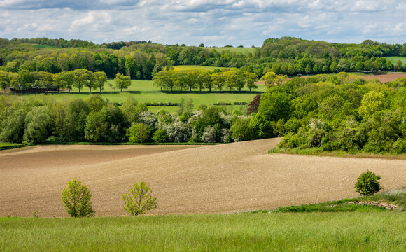 Springtime Landscape Of Gulpen In South Limburg Region