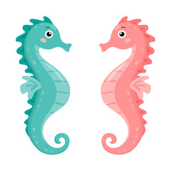 Seahorse couple