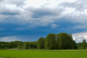 Chmury na niebie, drzewa i zielona trawa,