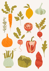 set of hand-drawn vegetables. Fresh organic food. Healthy food. Flat vector illustration.