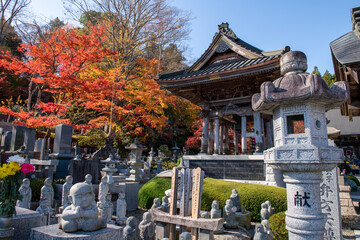 Japanese Shrine in Autumn