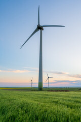 Three wind turbines that produce renewable green energy on a wheat field at sunset.