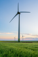 Three wind turbines that produce renewable green energy on a wheat field at sunset. © Gabriel