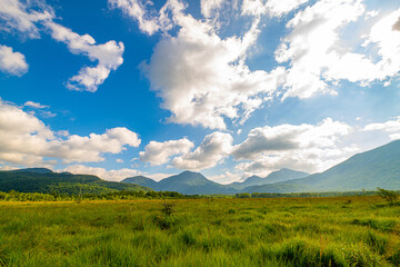 Fototapeta premium Senjougahara with a Blue Sky