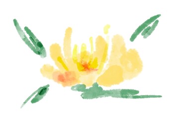 Set of different exotic flowers 