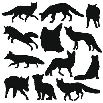 Fox Illustration Clip Art Design Shape. Animal Forest Collection Silhouettes Icon Vector