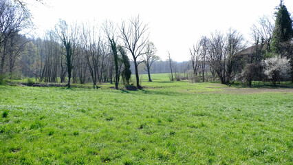 La campagna del Bassone a Como.