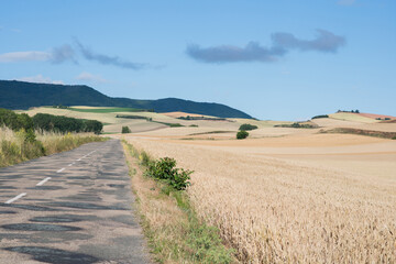 Fototapeta na wymiar Beautiful landscape in summer following the Santiago Way in La Rioja. Wheat fields. Spain