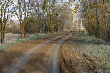 Fototapeta premium dirt road in spring grove