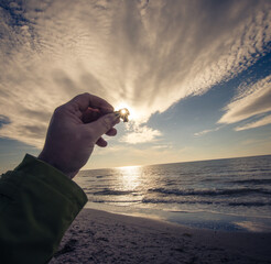 H&uuml;hnergott im Sonnenlicht