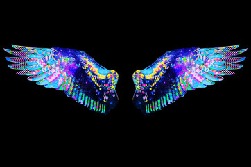 Fototapeta premium colorful wings