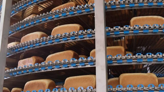Loafs of bread in a bakery on an automated conveyor belt