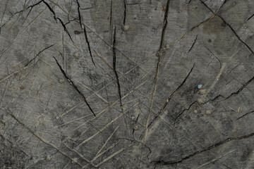 Old Wooden surface for background or texture
