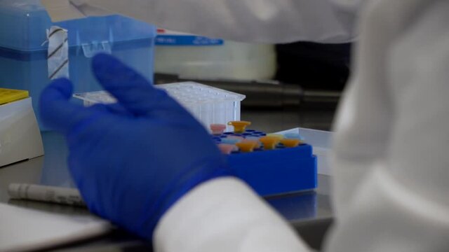 A scientist is checking and analyzing and experiment , in a laboratory