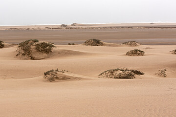 Paisaje de desierto y playa.