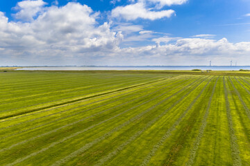 Fresh mowed green agricultural grassland