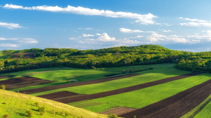 Countryside spring sunny day green grass agriculture field and forest	