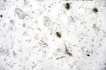 fallen needles from the Christmas tree lie on the snow, background, texture