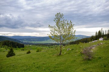 Obraz premium Landscapes on Vlasic mountain.Vlasic,Bosnia and Herzeogvina.Vlasic is the Top Winter Destination in Central Bosnia.
