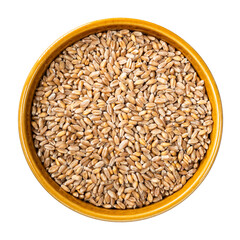 wholegrain wheat grains in round bowl cutout