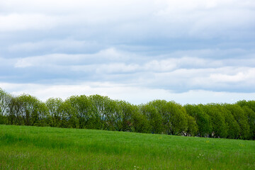 field and cloudy sky