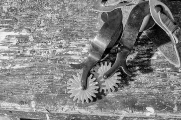 close up of steel spurs in black and white