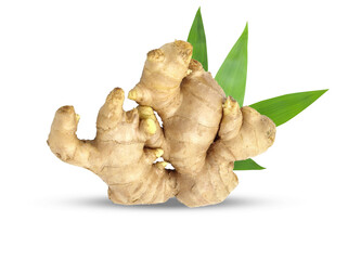 Fresh ginger with leaves isolated on white background