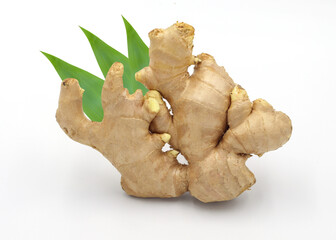 Fototapeta premium Fresh ginger with leaves isolated on white background