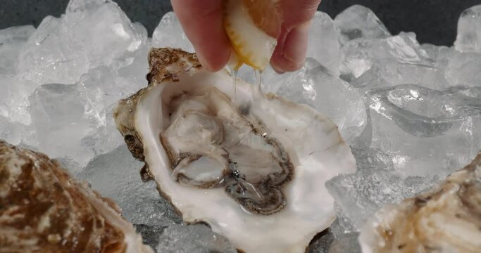 EXTREME CU MACRO Dolly in shot of lemon is being squeezed onto oyster shells lying on an ice pile