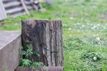 wooden fence