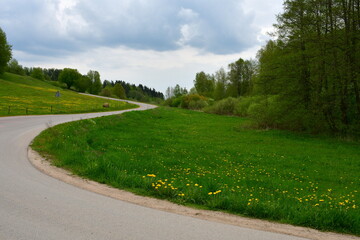 A view of a rural asphalt winding road leading through meadows and hills with some dense forest or moor nearby and flowers, herbs, and other flora covering the area seen in Poland during a cloudy day