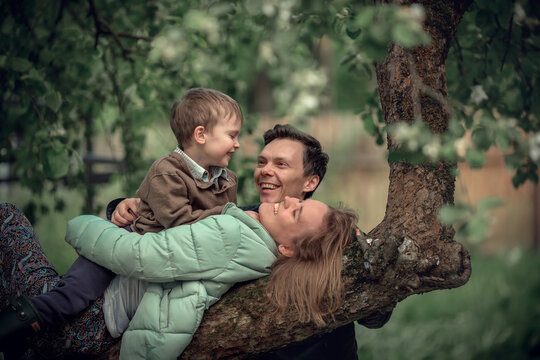 Cute little boy, his mother and his father are laughing and having fun together on the blossoming apple tree in the spring. Image with selective focus and toning