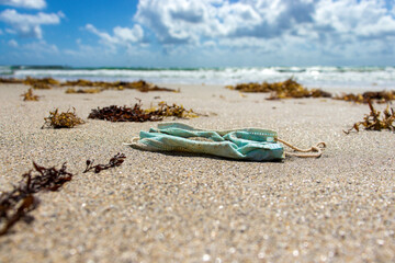 Fototapeta na wymiar Surgical Mask Thrown on the Beach Among Seaweed