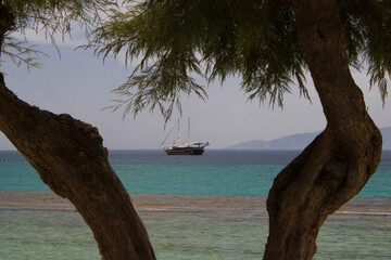 boat on the beach with trees