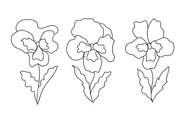 Doodle style pansy flowers set. Hand-drawn cute botanical illustration for postcards, stickers design. Vector illustration isolated on white background.