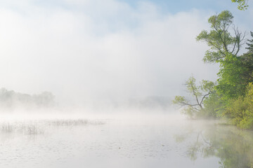 Foggy spring landscape of the shoreline of Whitford Lake at sunrise with mirrored reflections in calm water, Fort Custer State Park, Michigan, USA