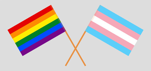 Crossed flags of LGBTQ and Transgender Pride. Official colors. Correct proportion