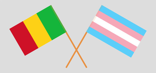 Crossed flags of Mali and Transgender Pride. Official colors. Correct proportion