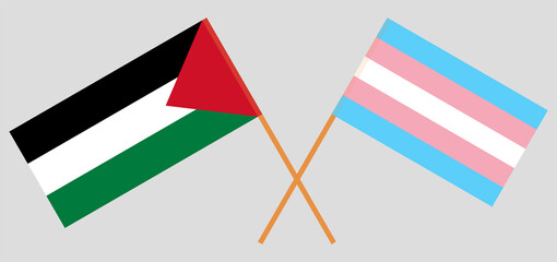 Crossed flags of Palestine and Transgender Pride. Official colors. Correct proportion