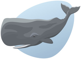 Vector illustration of a sperm whale against an abstract blue background.