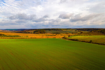 Aerial view of bright green agricultural field in early spring.