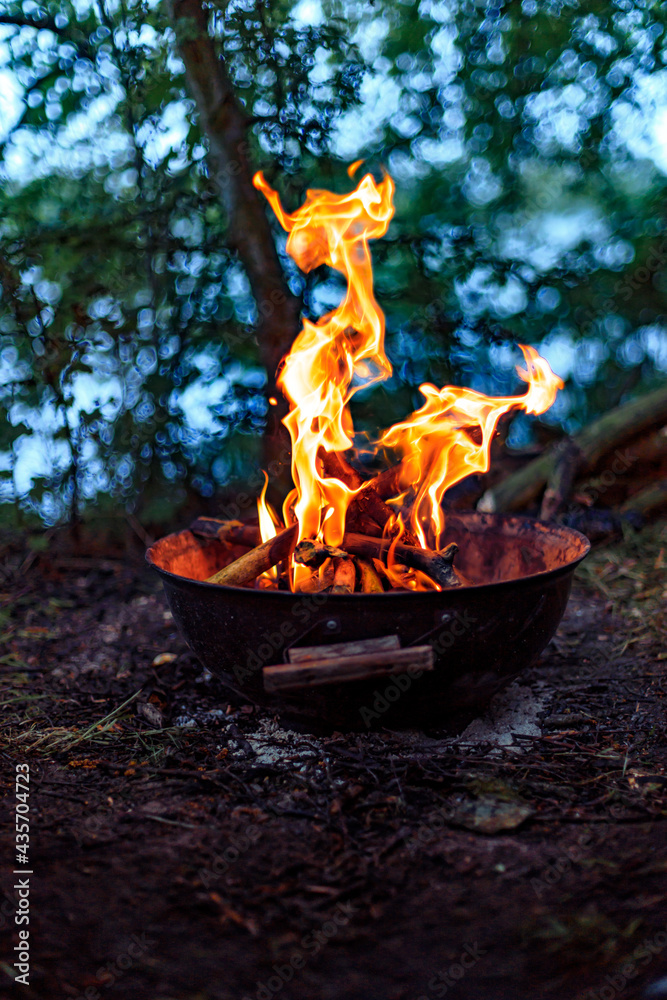 Wall mural burning flame, campfire