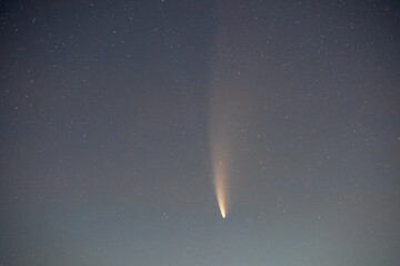 C/2020 F3 (NEOWISE) comet with light tail in dark night sky.