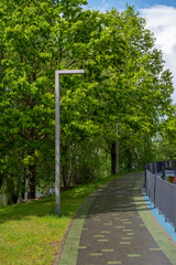 Lantern in the green park