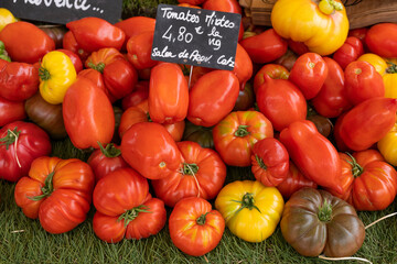 some tomatoes in market