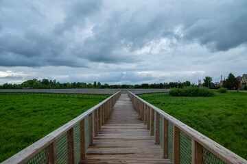 Wooden walk track in green park